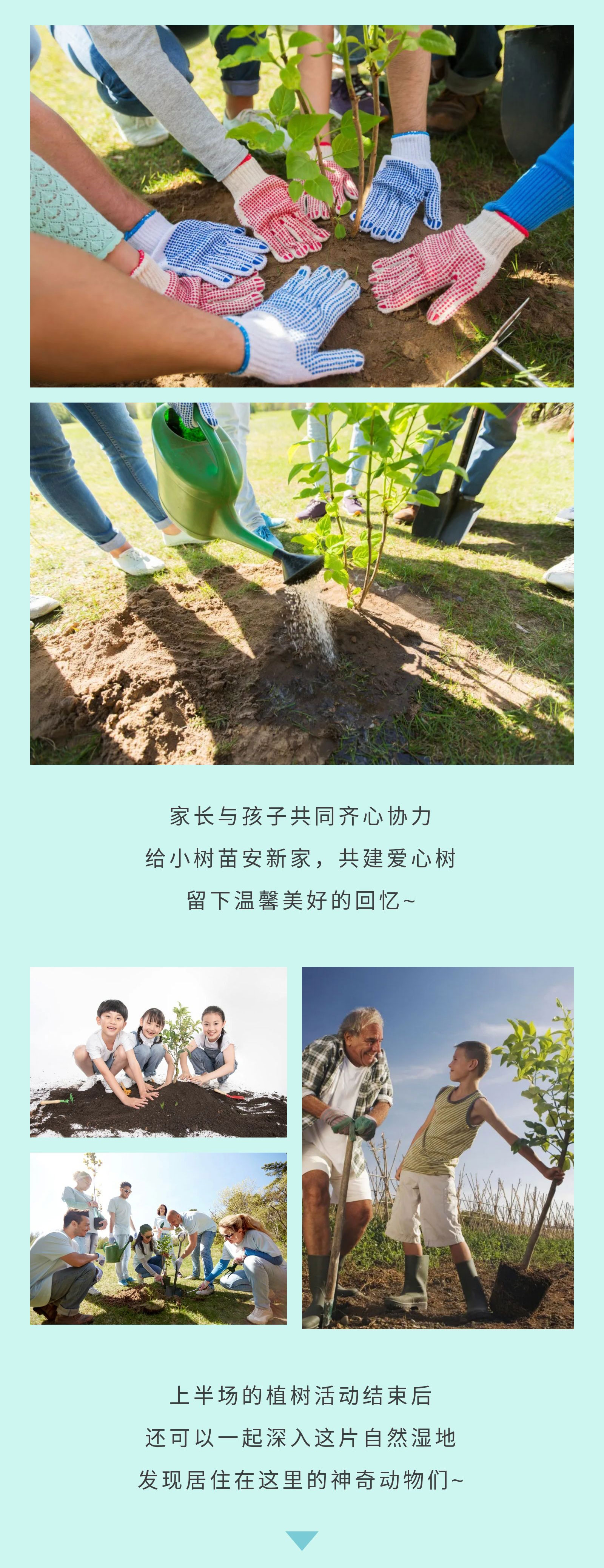 相约春天，共植希望！郑州高新区实验小学开展植树节主题实践活动-大河新闻